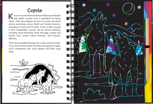 Load image into Gallery viewer, Scratch &amp; Sketch Nocturnal Animals