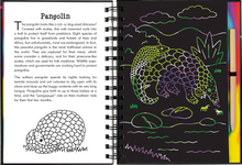 Load image into Gallery viewer, Scratch &amp; Sketch Nocturnal Animals