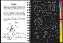 Load image into Gallery viewer, Scratch &amp; Sketch Nocturnal Animals