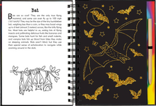 Load image into Gallery viewer, Scratch &amp; Sketch Nocturnal Animals