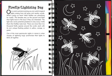 Load image into Gallery viewer, Scratch &amp; Sketch Nocturnal Animals