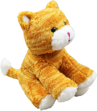 Load image into Gallery viewer, Hug a Kitten Kit (Book + Plush)