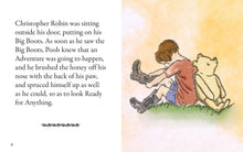 Load image into Gallery viewer, The Pocket Pooh