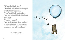 Load image into Gallery viewer, The Pocket Pooh