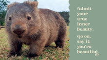 Load image into Gallery viewer, Little Book Of Wombat Wisdom