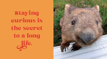 Load image into Gallery viewer, Little Book Of Wombat Wisdom