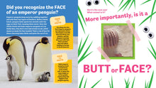 Load image into Gallery viewer, Butt or Face? Volume 4: Ador-A-Butts!