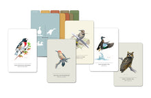 Load image into Gallery viewer, Sibley Birds of Land, Sea, and Sky Postcards