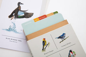 Sibley Birds of Land, Sea, and Sky Postcards