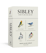 Load image into Gallery viewer, Sibley Birds of Land, Sea, and Sky Postcards