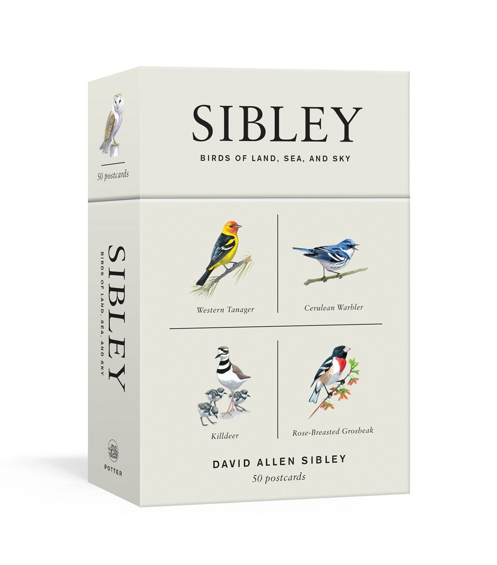 Sibley Birds of Land, Sea, and Sky Postcards