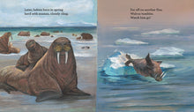 Load image into Gallery viewer, Walrus Song