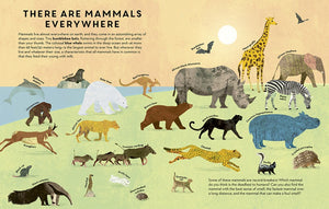 Mammals Everywhere