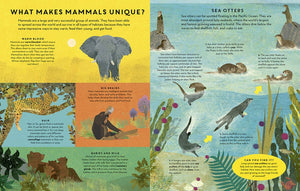 Mammals Everywhere