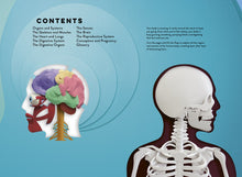 Load image into Gallery viewer, Paper World: Human Body