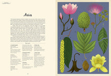Load image into Gallery viewer, Arboretum: Welcome to the Museum
