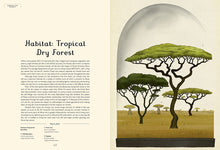 Load image into Gallery viewer, Arboretum: Welcome to the Museum