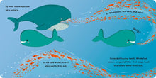 Load image into Gallery viewer, Whale