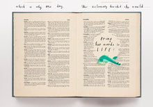 Load image into Gallery viewer, The Dictionary Story