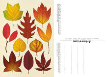 Load image into Gallery viewer, Arboretum Postcard Boxed Set