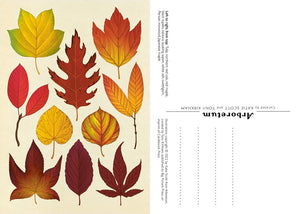 Arboretum Postcard Boxed Set