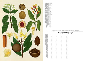 Arboretum Postcard Boxed Set