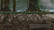 Load image into Gallery viewer, Forests