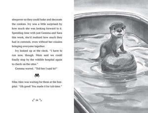 How to Save an Otter