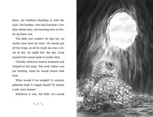 Load image into Gallery viewer, How to Save an Owl
