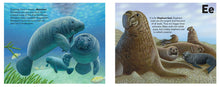 Load image into Gallery viewer, The Sea Mammal Alphabet Book