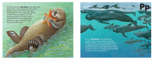 Load image into Gallery viewer, The Sea Mammal Alphabet Book