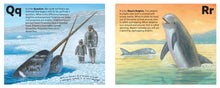 Load image into Gallery viewer, The Sea Mammal Alphabet Book