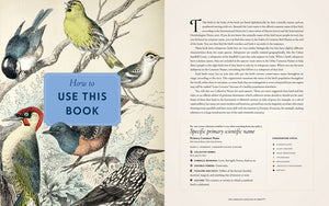 The Complete Language of Birds