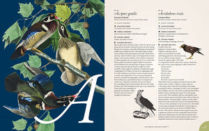 The Complete Language of Birds