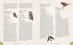 The Complete Language of Birds