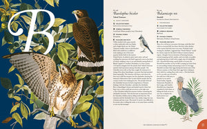 The Complete Language of Birds