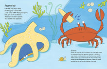 Load image into Gallery viewer, Ocean Soup: Tide Pool Poems