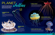 Load image into Gallery viewer, Ripley's Believe It or Not! Dare to Discover