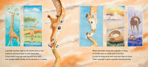 Where Do Big Creatures Sleep at Night?
