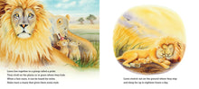 Load image into Gallery viewer, Where Do Big Creatures Sleep at Night?
