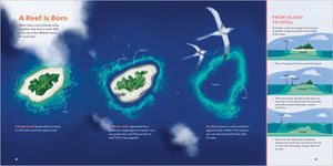 The World of Coral Reefs