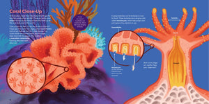 The World of Coral Reefs