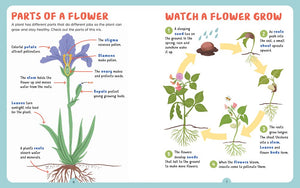 Backpack Explorer: Discovering Plants and Flowers