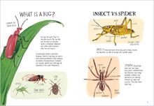 Load image into Gallery viewer, Insect Anatomy: The Curious World of Bees, Beetles, Butterflies, and Bugs
