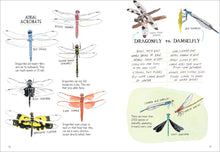 Load image into Gallery viewer, Insect Anatomy: The Curious World of Bees, Beetles, Butterflies, and Bugs