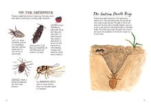 Load image into Gallery viewer, Insect Anatomy: The Curious World of Bees, Beetles, Butterflies, and Bugs