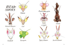 Load image into Gallery viewer, Insect Anatomy: The Curious World of Bees, Beetles, Butterflies, and Bugs