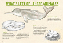 Load image into Gallery viewer, Extinctopedia
