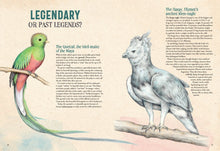 Load image into Gallery viewer, Extinctopedia