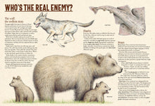 Load image into Gallery viewer, Extinctopedia